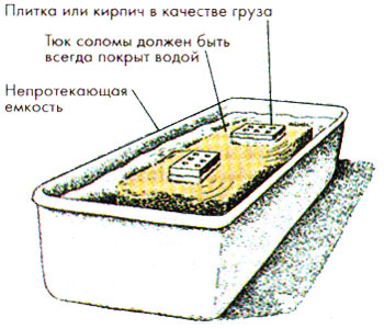 Тюк соломы для выращивания вешенки