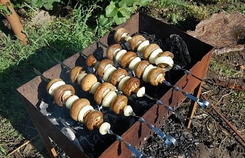 Ассорти из свежих грибов