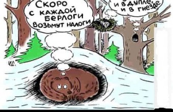 Налог на грибы