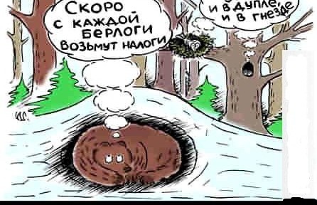Налог на грибы