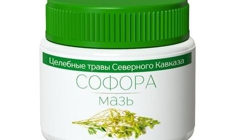 Мазь софоры японской